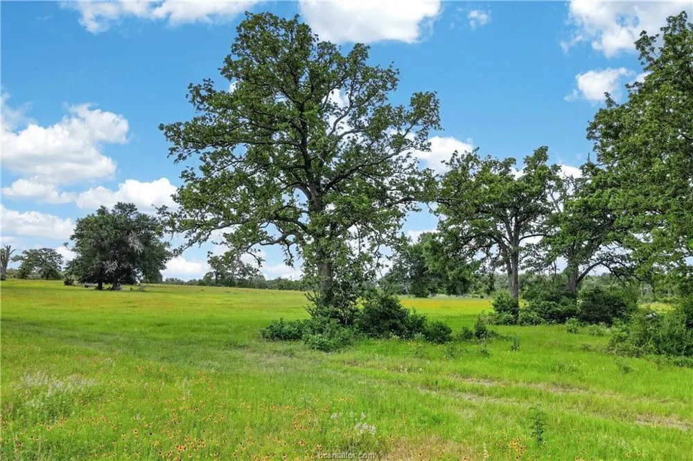 11648 Fm 2000 Caldwell, TX 77836