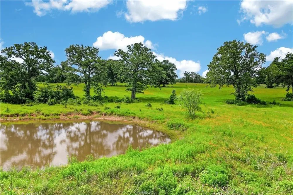 11648 Fm 2000 Caldwell, TX 77836