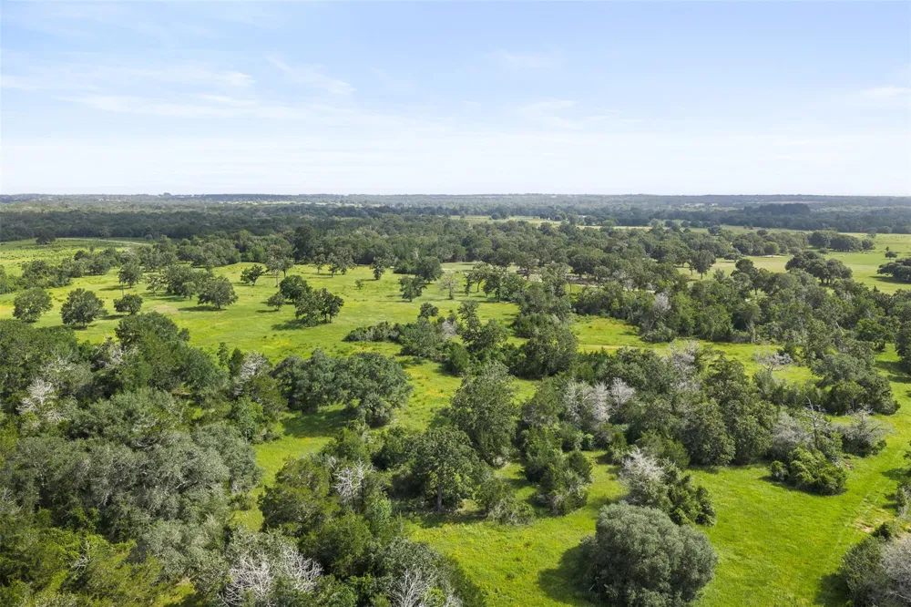 16204 Newberg Rd Cat Spring, TX 78933