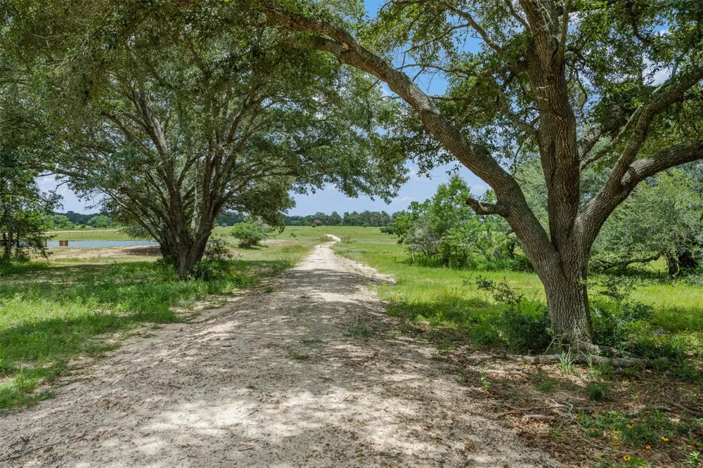 16204 Newberg Rd Cat Spring, TX 78933