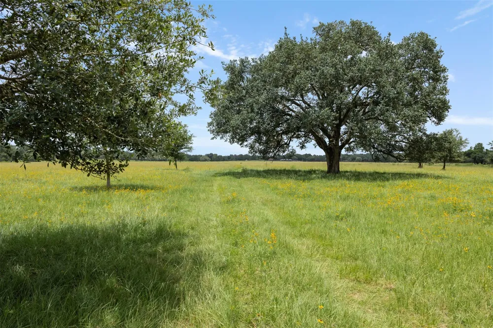 16204 Newberg Rd Cat Spring, TX 78933