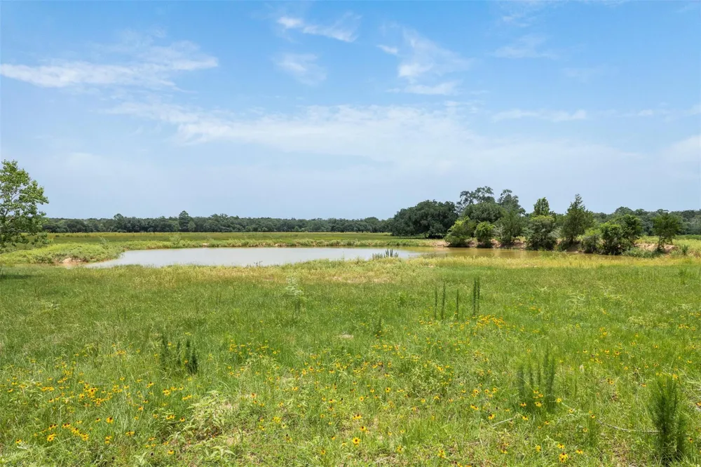 16204 Newberg Rd Cat Spring, TX 78933