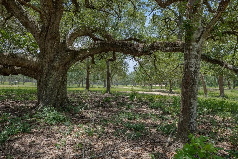 16204 Newberg Rd Cat Spring, TX 78933