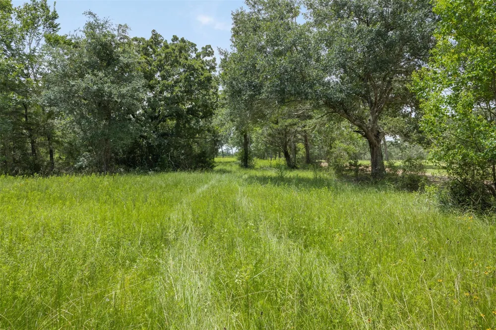 16204 Newberg Rd Cat Spring, TX 78933