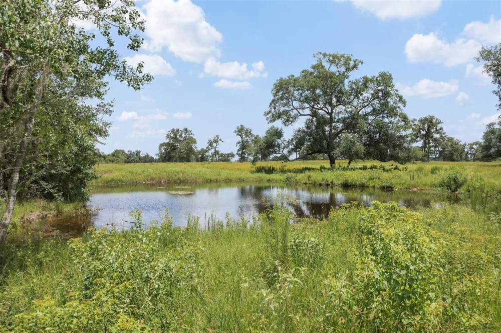 16204 Newberg Rd Cat Spring, TX 78933