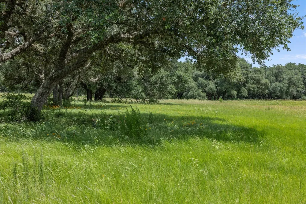 16204 Newberg Rd Cat Spring, TX 78933