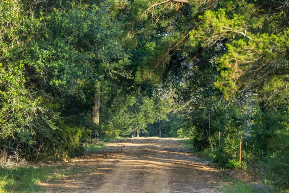 16204 Newberg Rd Cat Spring, TX 78933