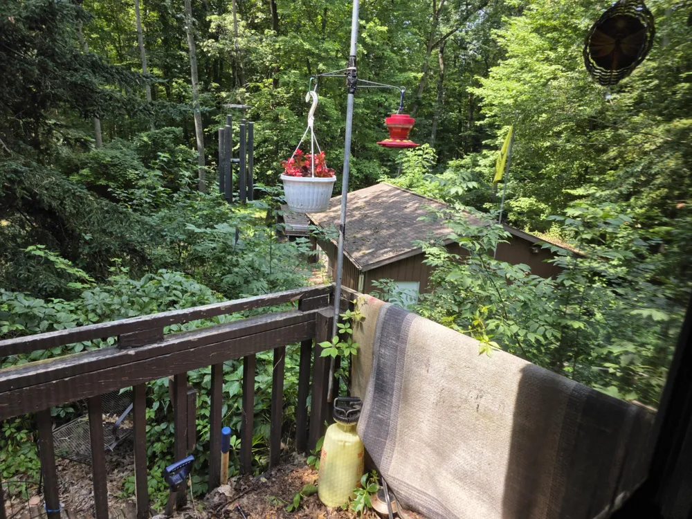 22270 W Kendaville Road Pierson, MI 49339
