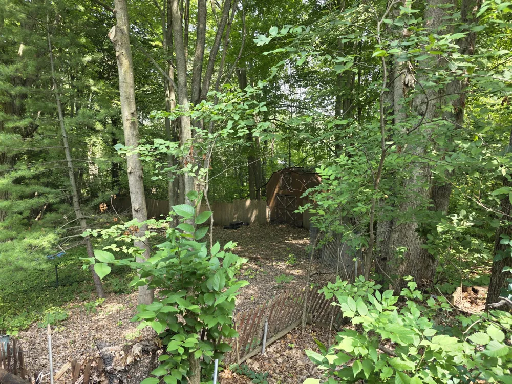 22270 W Kendaville Road Pierson, MI 49339