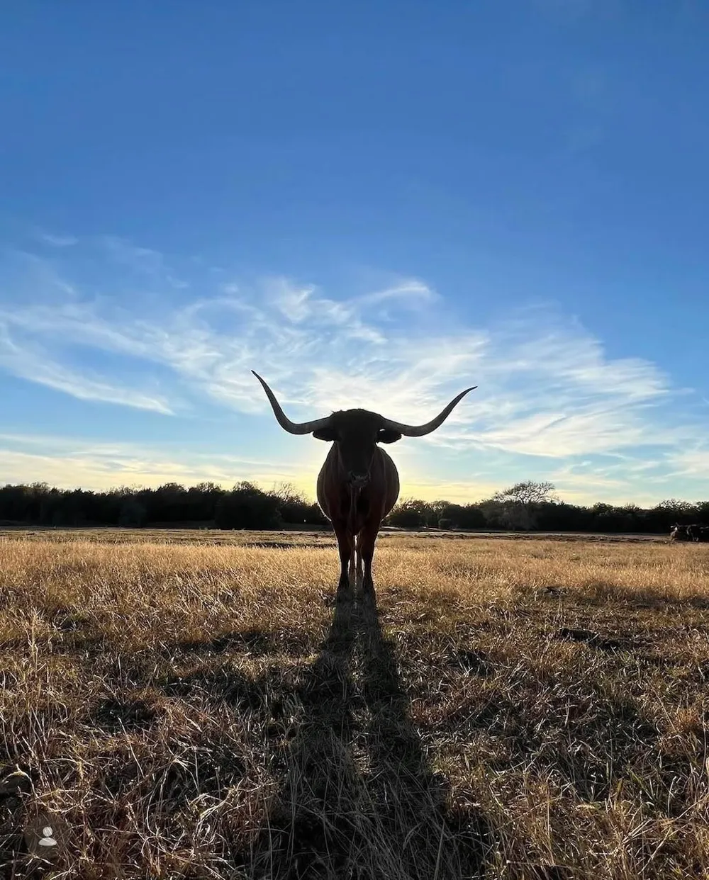 1600 S Weyand Round Top, TX 78954