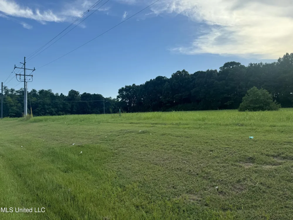 Feather Lane Canton, MS 39046