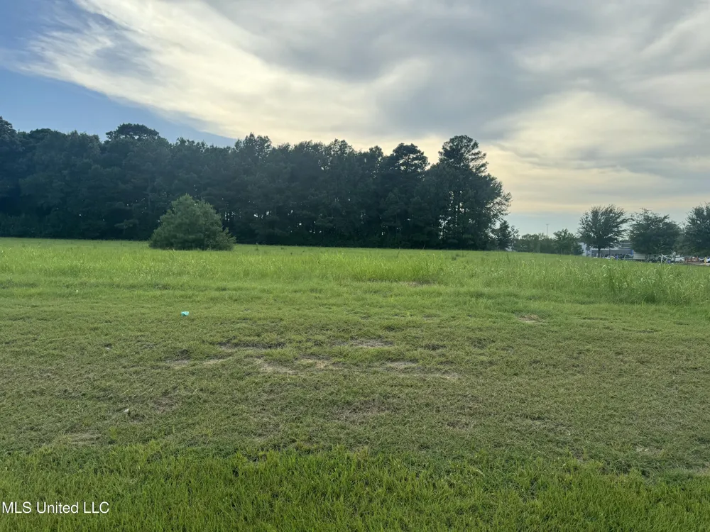 Feather Lane Canton, MS 39046