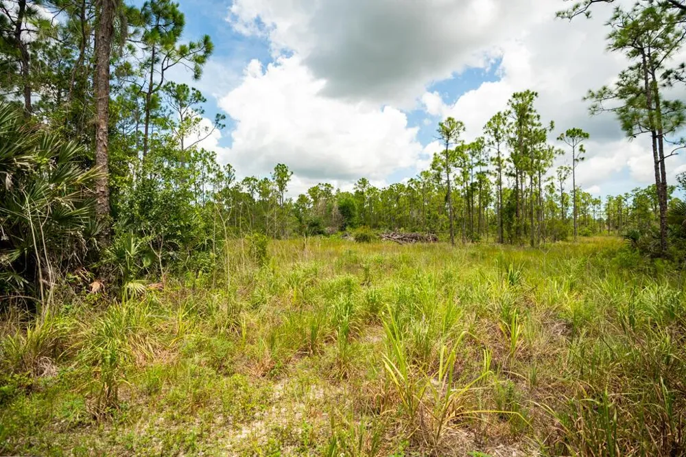 12460 79TH STREET Fellsmere, FL 32948
