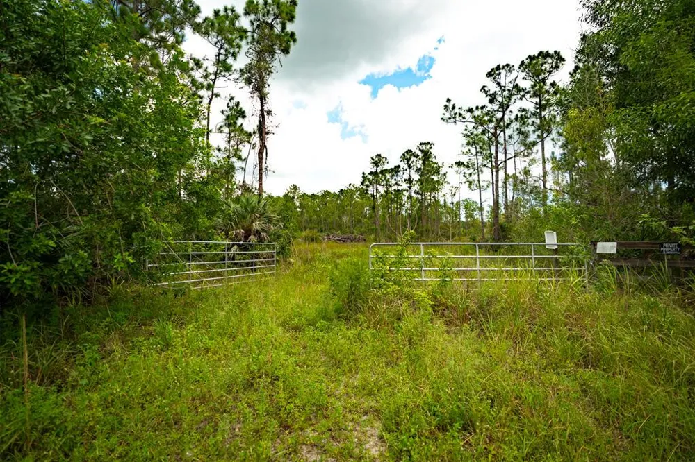 12460 79TH STREET Fellsmere, FL 32948