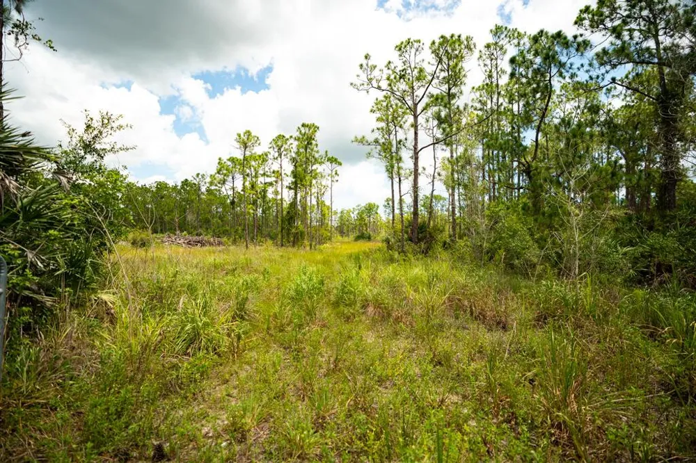 12460 79TH STREET Fellsmere, FL 32948