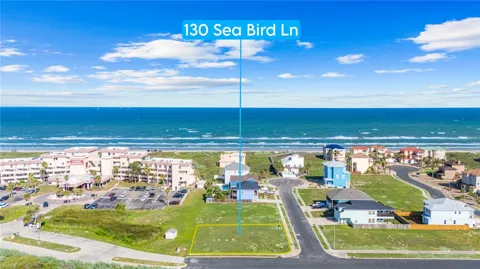 130 Sea Bird