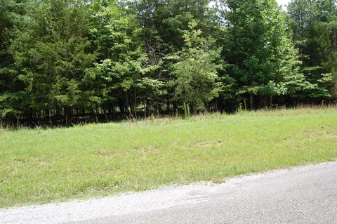 36 Stone Creek Trail