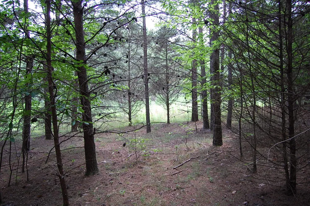 36 Stone Creek Trail Dunlap, TN 37327