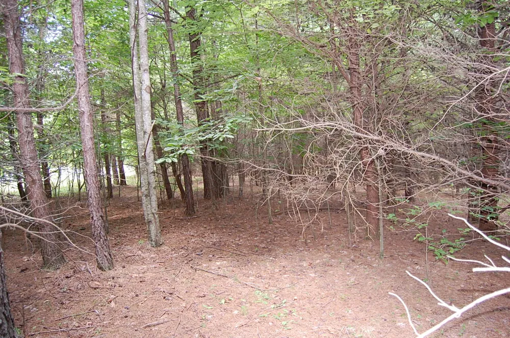 36 Stone Creek Trail Dunlap, TN 37327