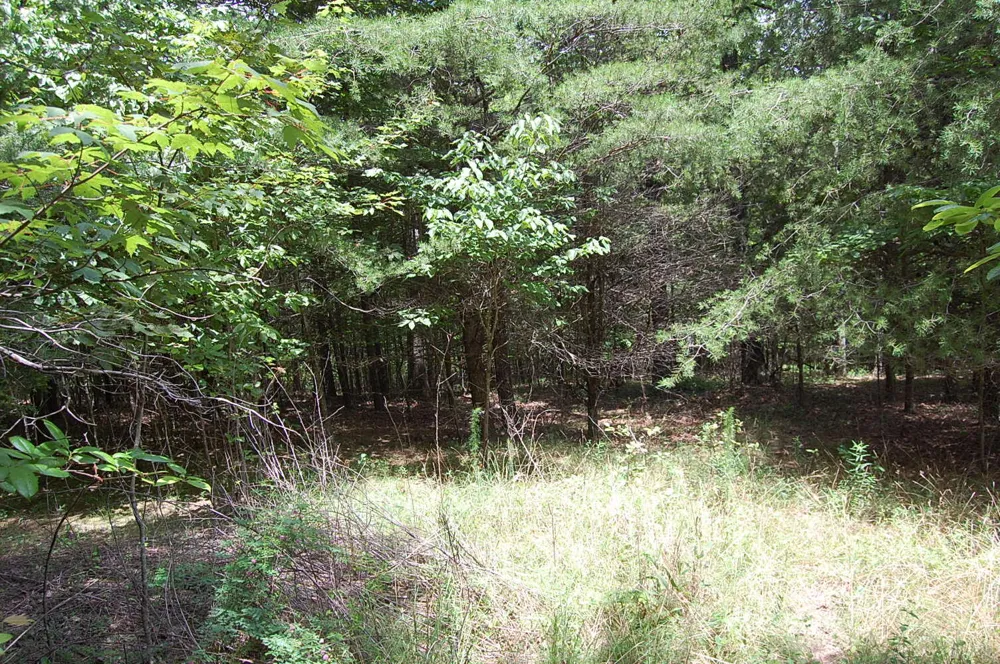 36 Stone Creek Trail Dunlap, TN 37327