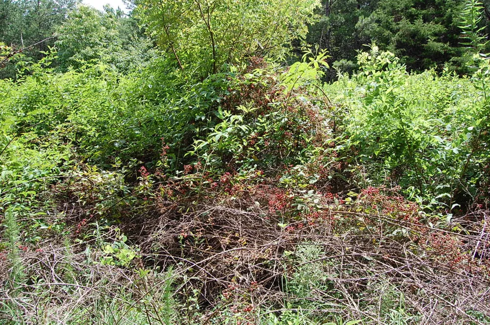 36 Stone Creek Trail Dunlap, TN 37327
