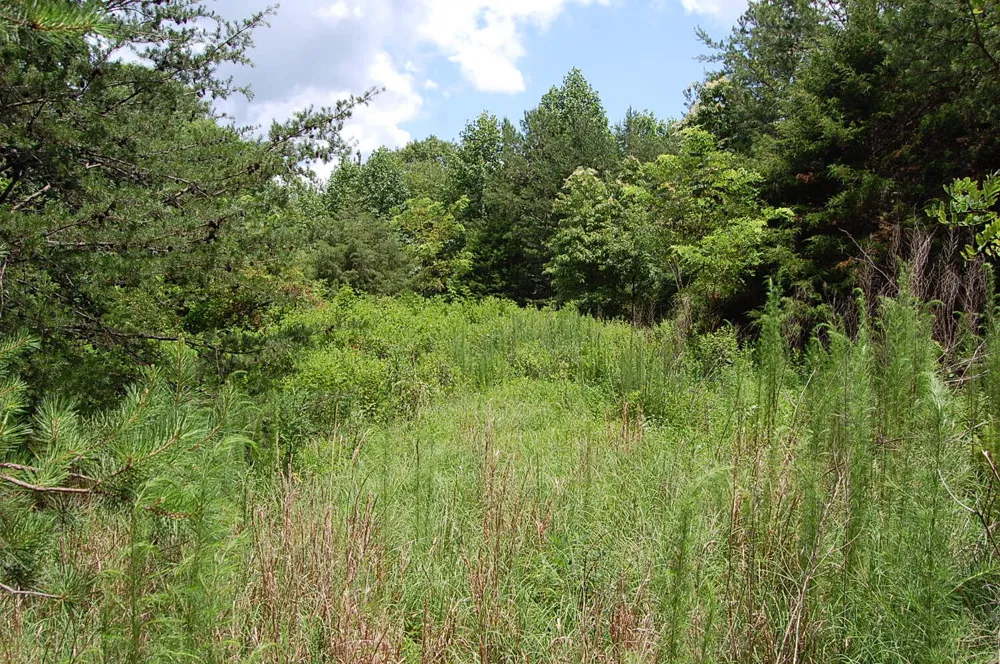 36 Stone Creek Trail Dunlap, TN 37327