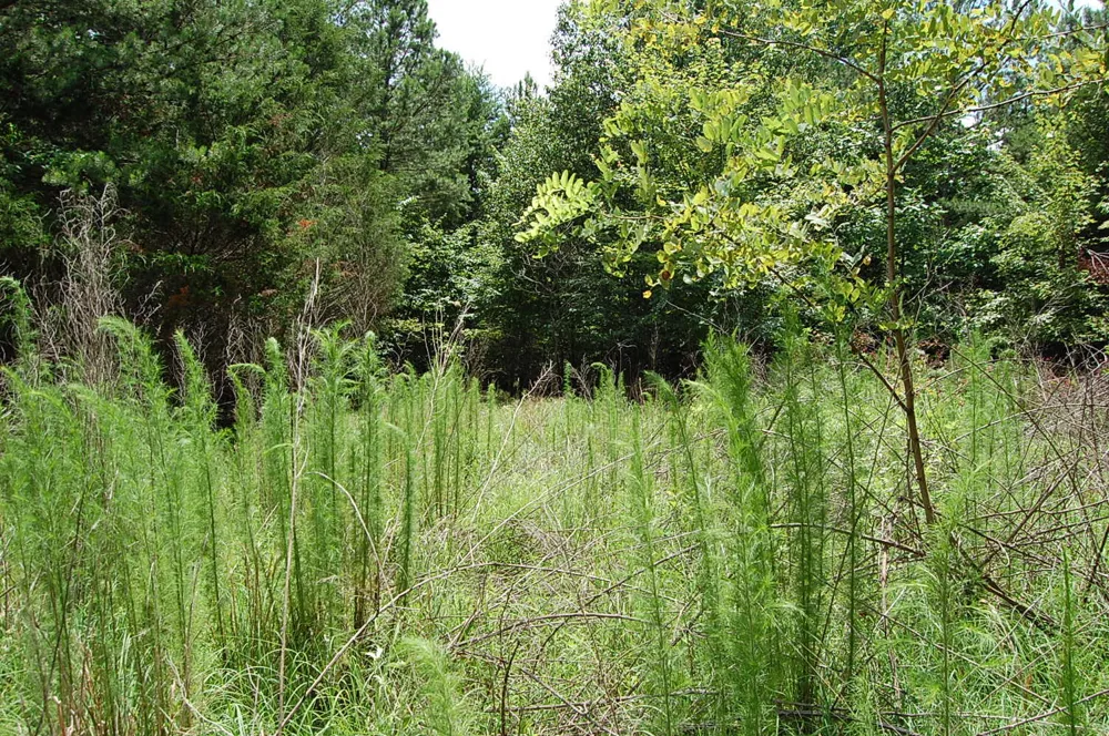 36 Stone Creek Trail Dunlap, TN 37327
