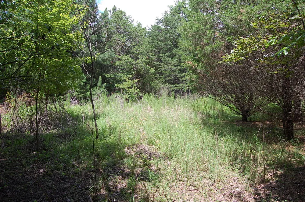 36 Stone Creek Trail Dunlap, TN 37327