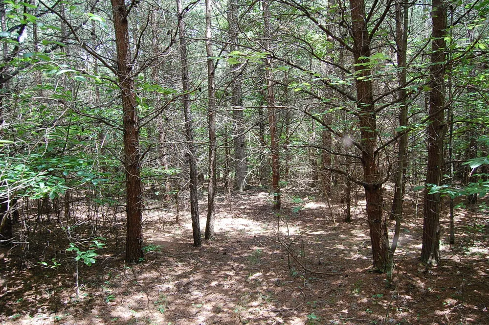 36 Stone Creek Trail Dunlap, TN 37327