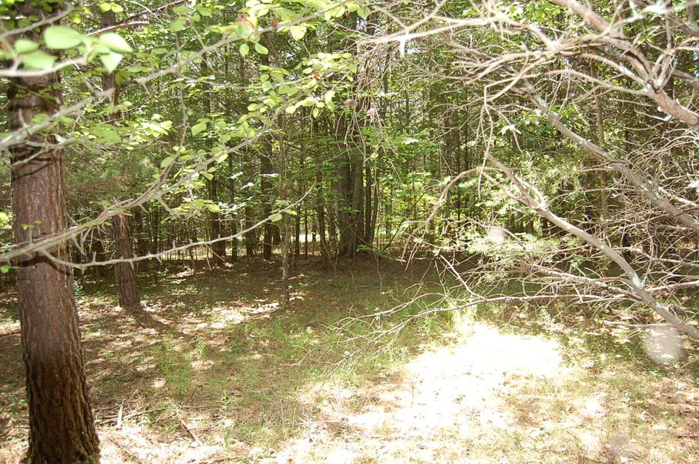 36 Stone Creek Trail Dunlap, TN 37327