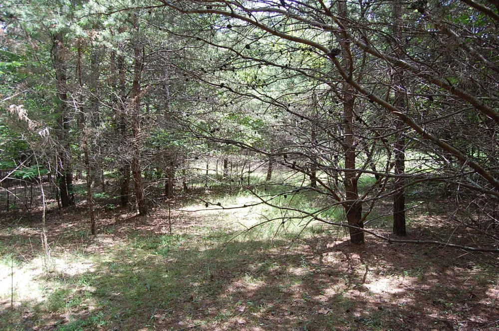36 Stone Creek Trail Dunlap, TN 37327