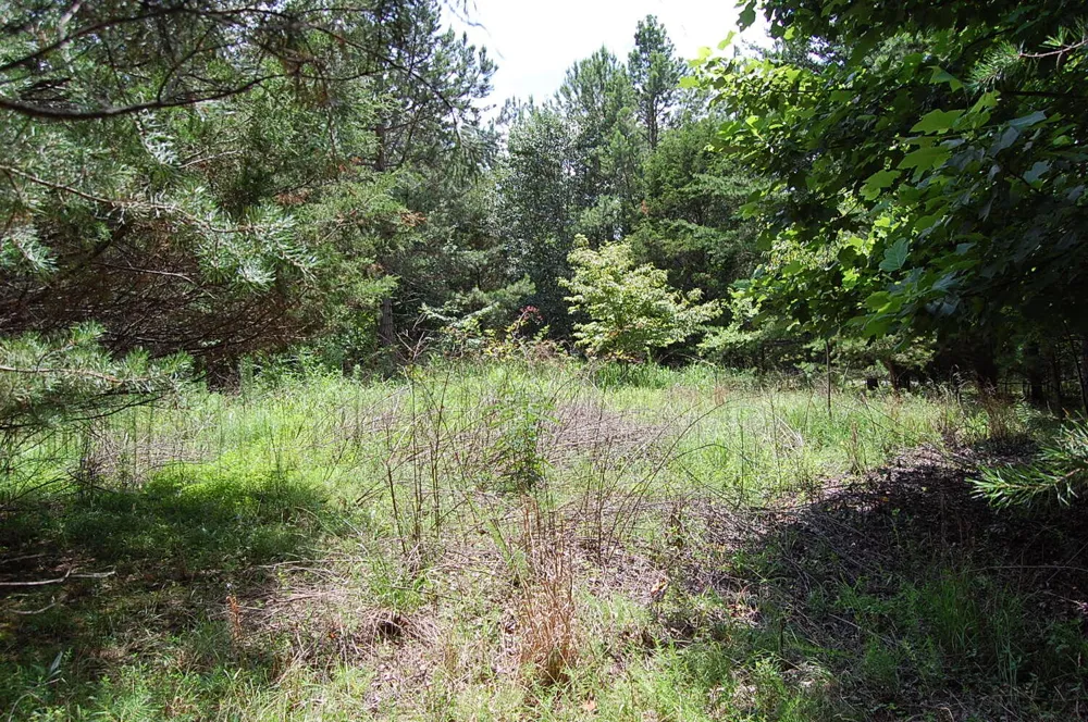 36 Stone Creek Trail Dunlap, TN 37327