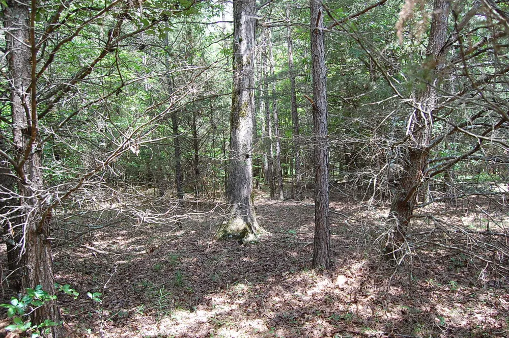 36 Stone Creek Trail Dunlap, TN 37327