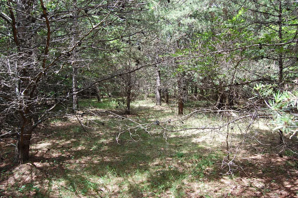 36 Stone Creek Trail Dunlap, TN 37327