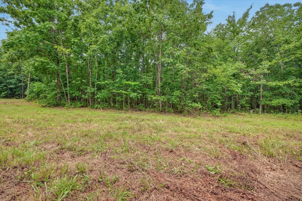 1 White Oak Road Stewart, TN 37175