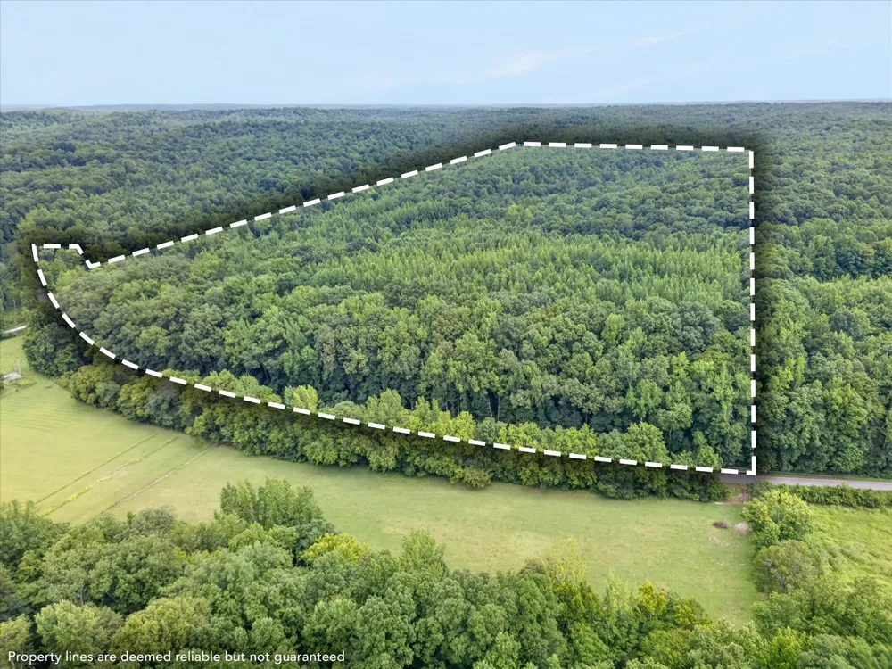 1 White Oak Road Stewart, TN 37175
