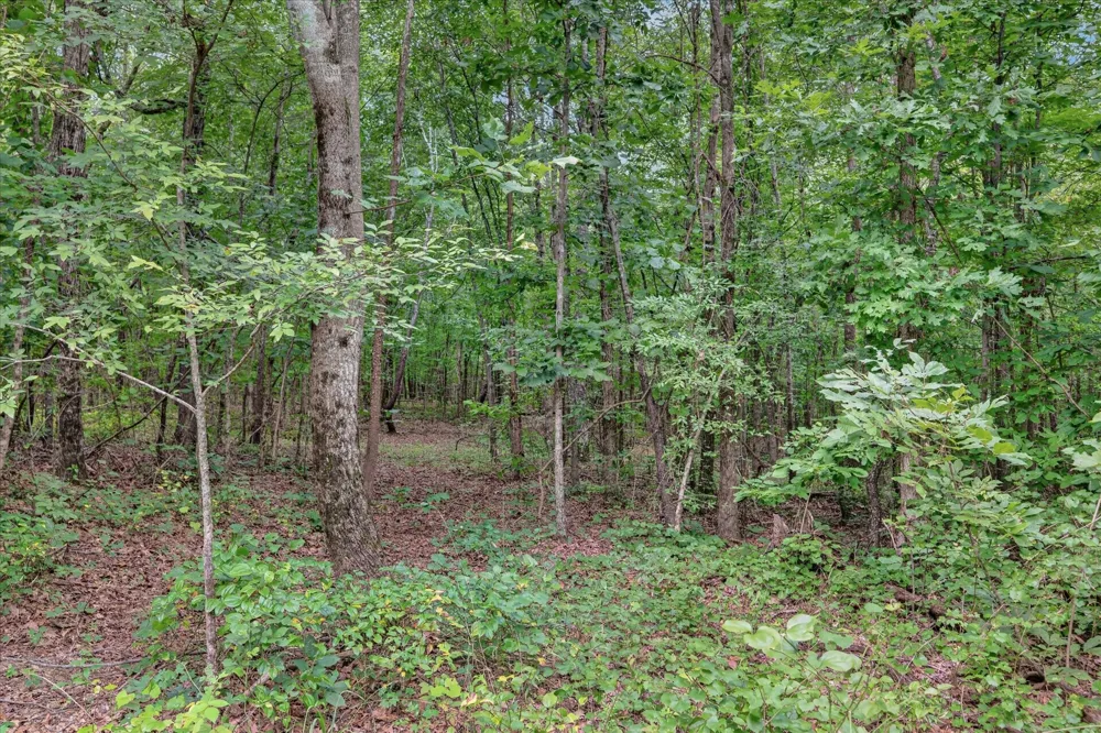 1 White Oak Road Stewart, TN 37175