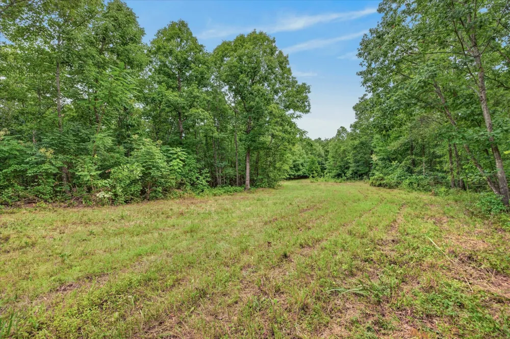 1 White Oak Road Stewart, TN 37175
