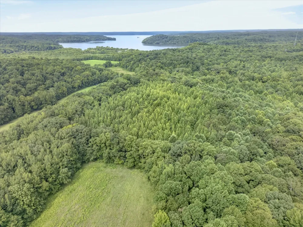 1 White Oak Road Stewart, TN 37175