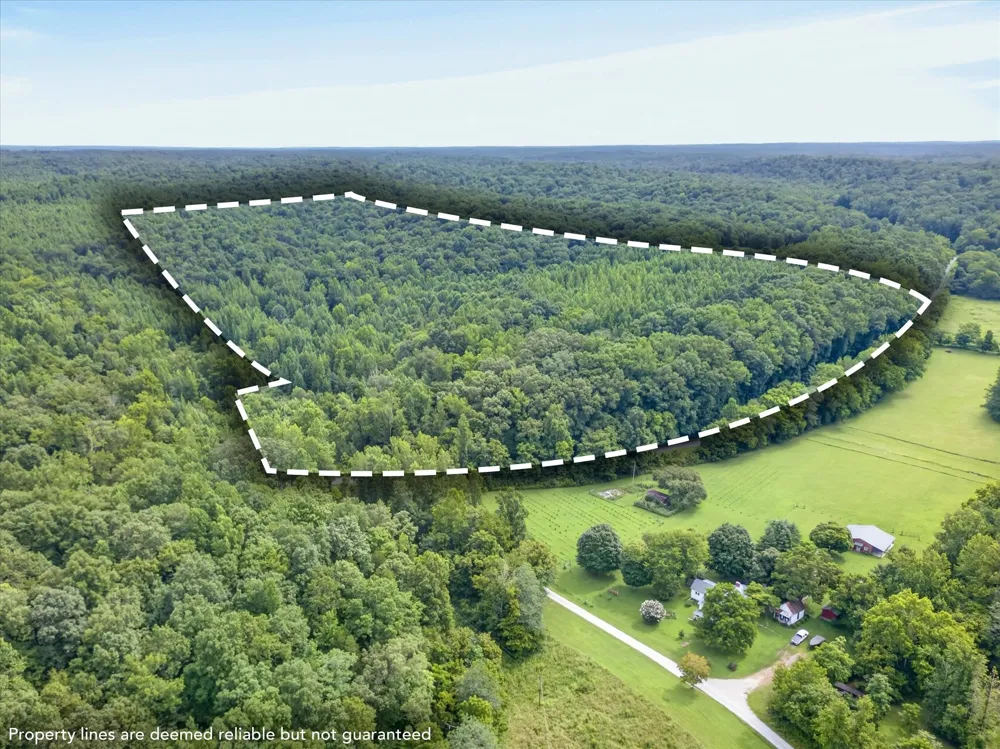 1 White Oak Road Stewart, TN 37175
