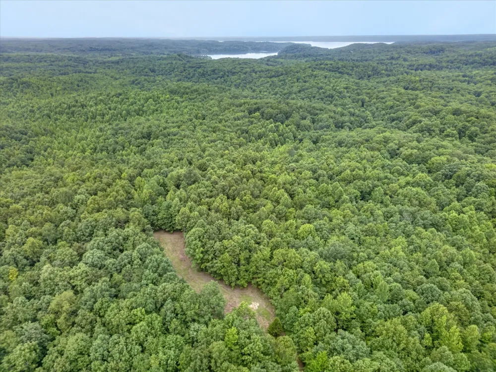 1 White Oak Road Stewart, TN 37175