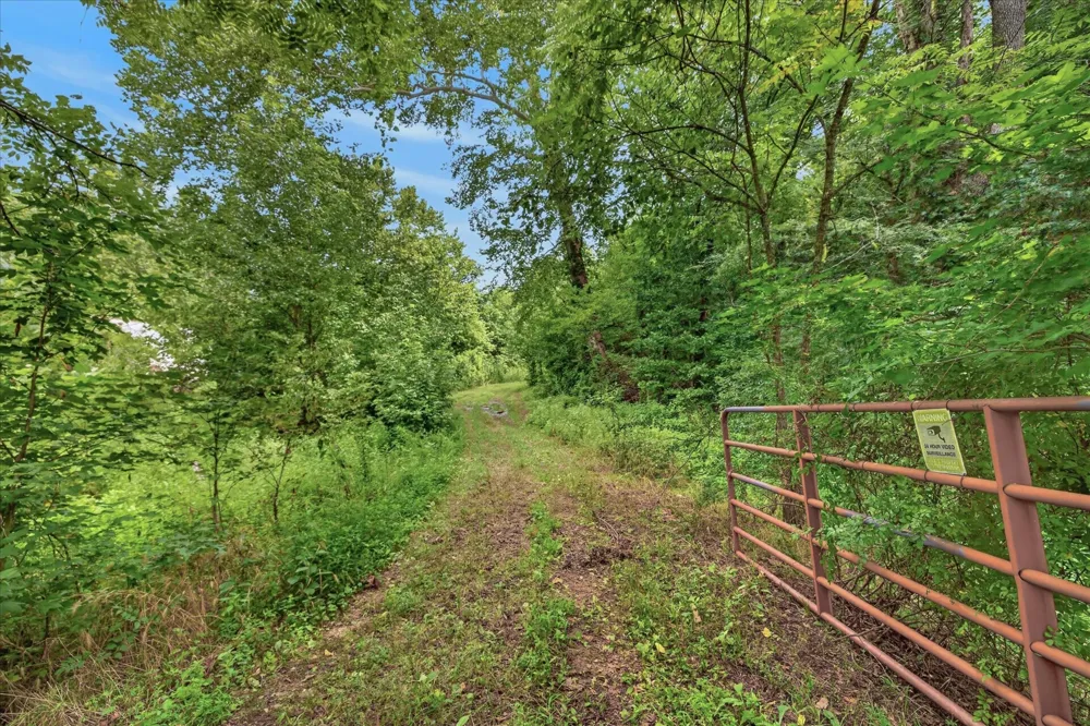1 White Oak Road Stewart, TN 37175