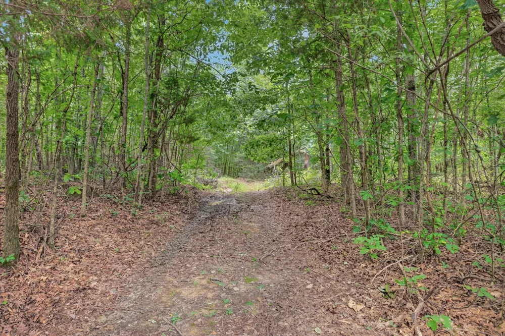 1 White Oak Road Stewart, TN 37175
