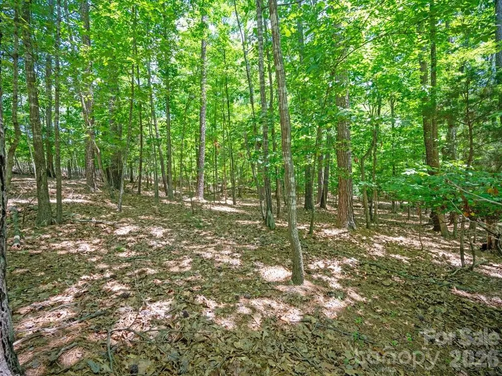 19021 Youngblood Road #10 Charlotte, NC 28278