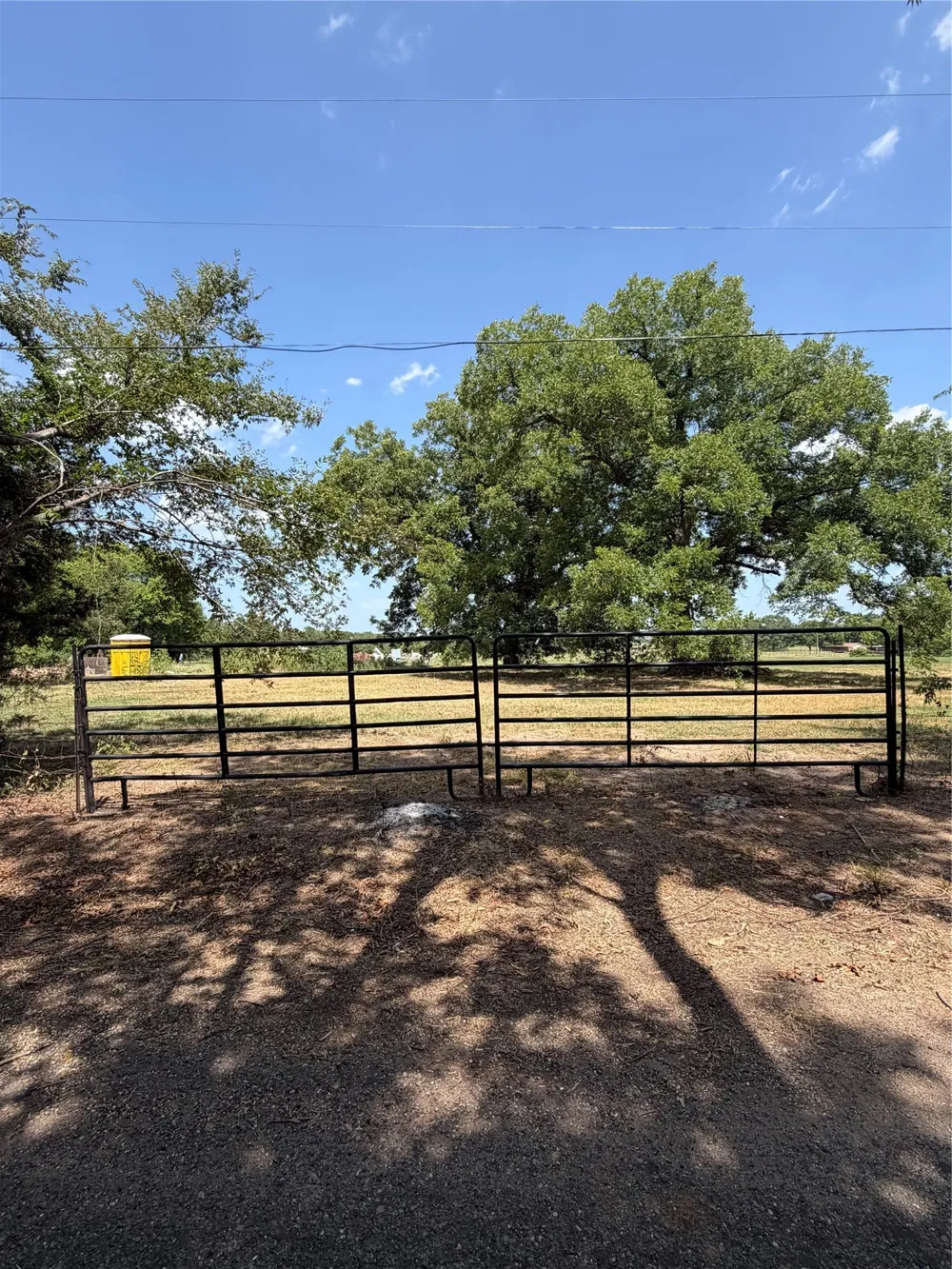 1195 RS COUNTY ROAD 1301 ROAD Emory, TX 75440