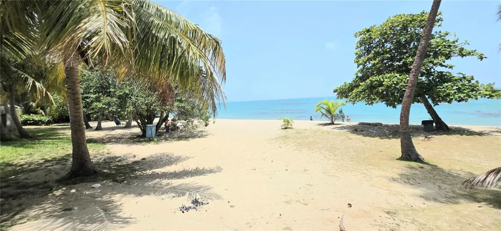 KM 23.6 PR-187 (A-8) #1601 Loiza, PR 00772