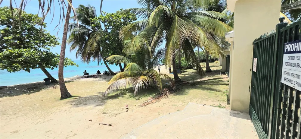 KM 23.6 PR-187 (A-8) #1601 Loiza, PR 00772