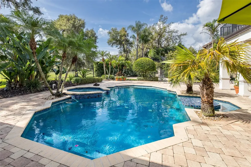 10628 PONTOFINO CIRCLE Trinity, FL 34655