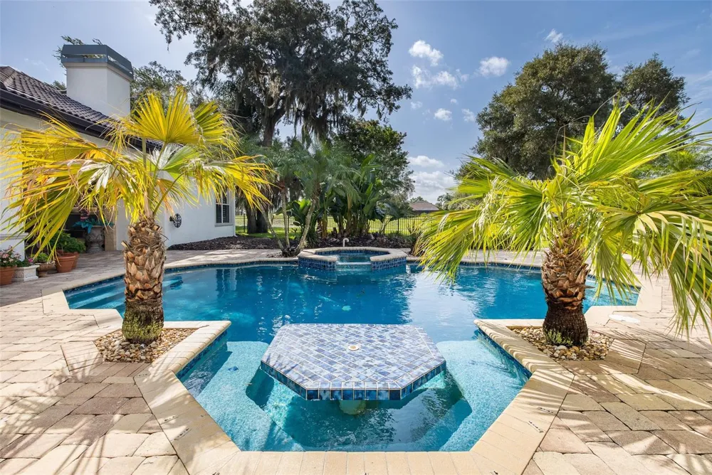 10628 PONTOFINO CIRCLE Trinity, FL 34655