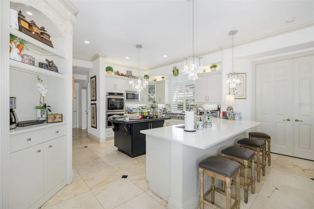 10628 PONTOFINO CIRCLE Trinity, FL 34655